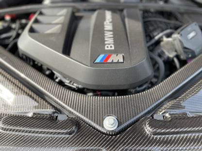 SWAN Carbon Fiber Strut Brace