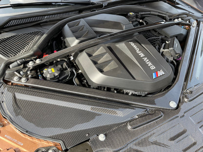 SWAN Carbon Fiber Strut Brace